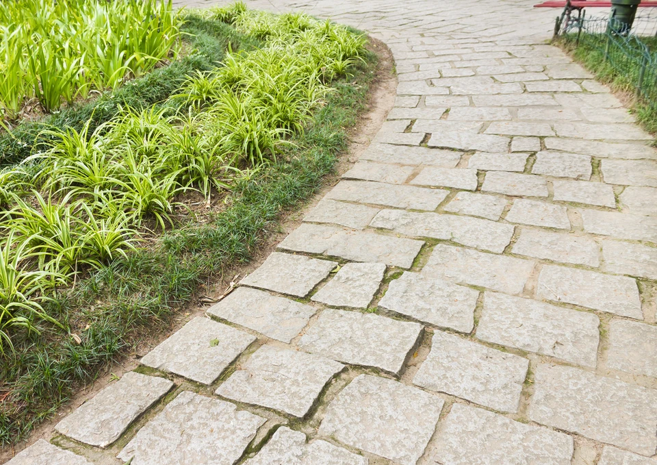 Aménagement paysager extérieur avec allée pavée en pierres naturelles beiges disposées en motif entrecroisé